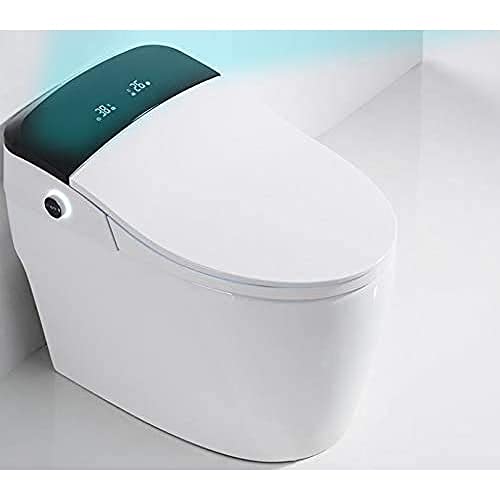 WC Japonais de Luxe