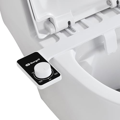 Bidet WC Japonais