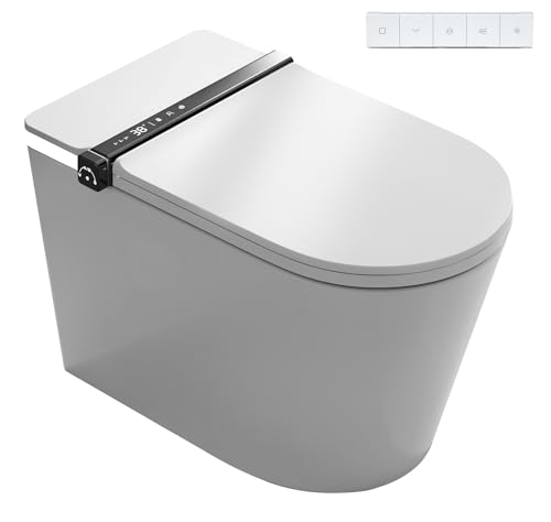 WC Japonais de Luxe
