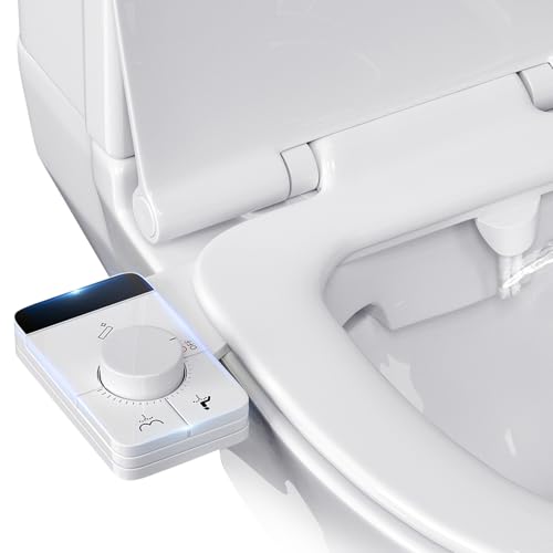 Bidet WC Japonais