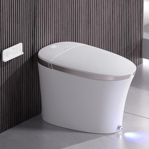 WC Japonais de Luxe