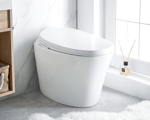 WC Japonais à poser