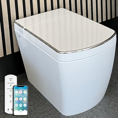 WC Japonais à poser