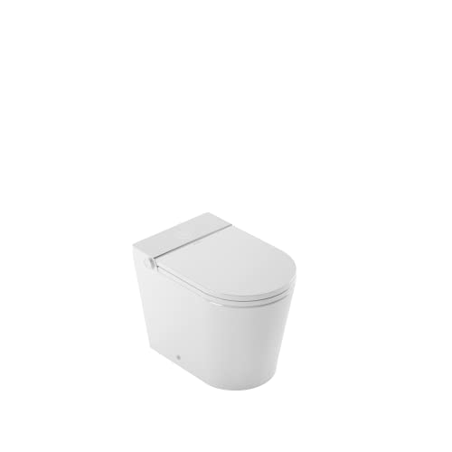 Mizubath - Toilette japonaise avec réservoir intégré | Chass